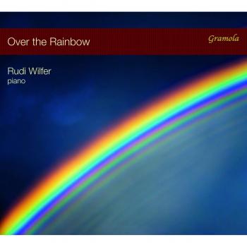Rainbow Overhead Light Fixture