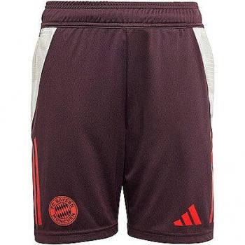 Pantalones de entrenamiento oficiales para niño del FC Bayern Munich 24/25 en color granate (176) - Adidas