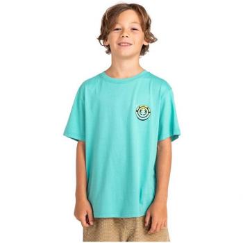 Camiseta Element Bream Up Ss