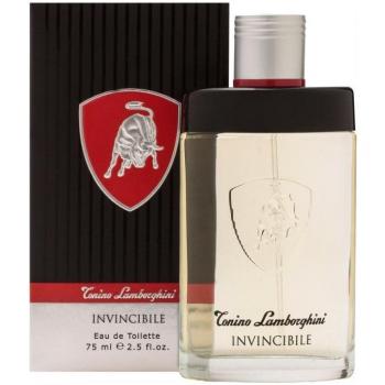 Tonino Lamborghini Invincibile Eau de Toilette 75ml for Men