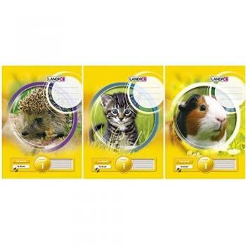 Cuaderno LANDRÉ A4 16 hojas 80 g/m² Rayado con margen