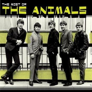 Most Of The Animals - Animals