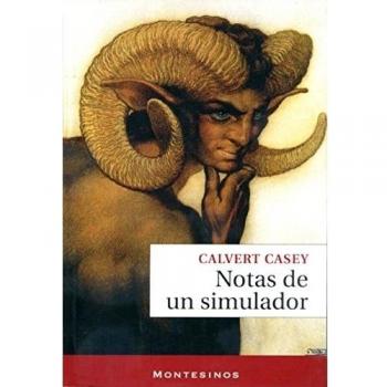 Notas de un simulador