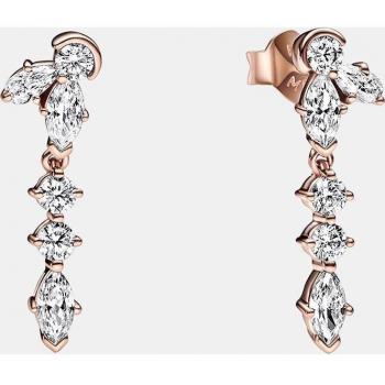 Pendientes colgantes Pandora Timeless Sparkling Herbarium Cluster Drop 282404C01