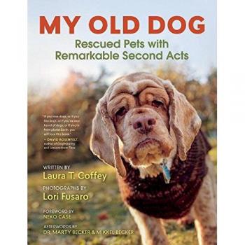 My Old Dog: Rescued Pets with Remarkable Second Acts