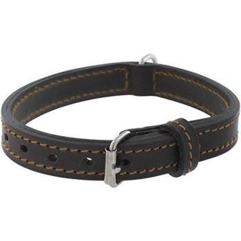 Collar de perro de cuero forrado Zolux 70mm marrón con correa incluida