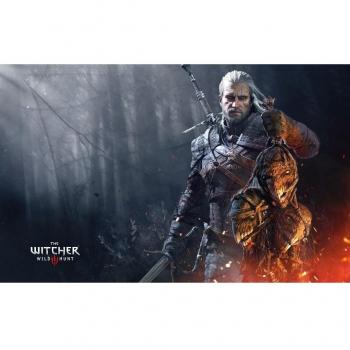 22x14 inch The Witcher 3 Wild Hunt Silk Poster Seda Cartel 6GS8-5D5