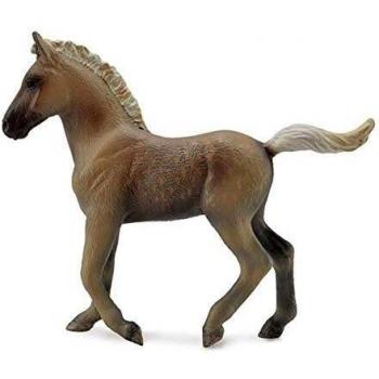 Collecta - Potro De Las Montañas Rocosas Chocola - M - 88799