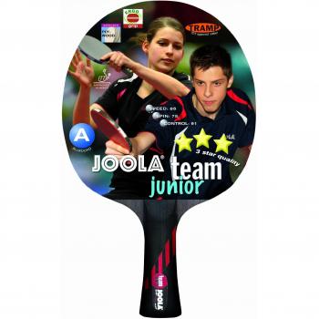 Joola Team Junior - Mesa de ping pong infantil
