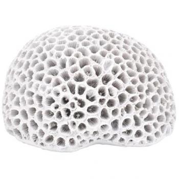 Figura Coral Jarrón y Portavelas Marinera Blanca - 10x15x14cm