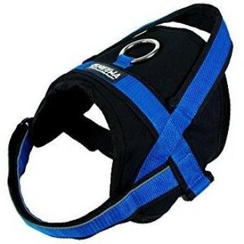 Neewa 8033087539776 - Utility arnés Azul Large