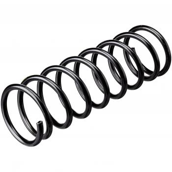 Muelle de suspensión helicoidal LESJÖFORS 4227588 para Ford Fiesta 4, amortiguador trasero