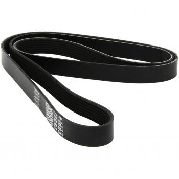 Dayco 7PK1784 correa trapecial poli v