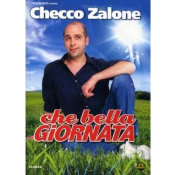 Che bella giornata [Italia] [DVD]