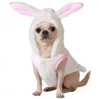 Disfraz para Perro Talla M Conejo