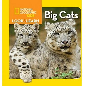 look & learn: big cats