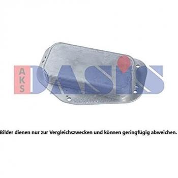 AKS Dasis 156009 N Motor bloques