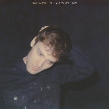 The Days We Had [Vinilo]