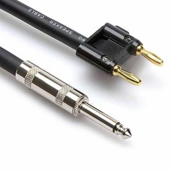 Hosa SKJ-630BN 1/4 TS to Dual Banana Speaker Cable, 30'
