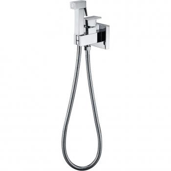 Grifo empotrado de bidé Irlanda con ducha higiénica para pared, grifo monomando de diseño moderno