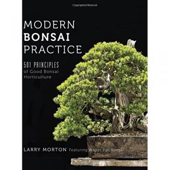 Práctica Moderna de Bonsái: 501 Principios de Buena Horticultura en Bonsái