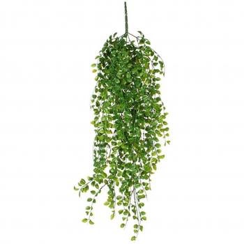 Ficus colgante color verde 81cm