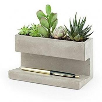 Kikkerland PL02-L - Maceta de hormigón para mesa