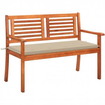 2-Seater Garden Bench with Cushion 120 cm Solid Eucalyptus Wood