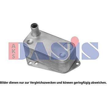 AKS Dasis 026003 N Motor bloques