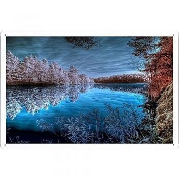 Metal cartel Cartel de chapa Hojalata sesión Trees Hoarfrost Lake Colors Dark Blue White Shades Reflection Cold Frosts Sky 46091 Retro Vintage Pared Decoración by hamgaacaan