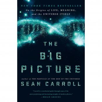 The Big Picture: On the Origins of Life, Meaning, and the Universe Itself