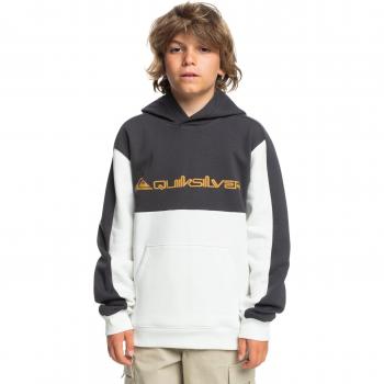 Quiksilver - Sudadera con Capucha para Niños Knowledge Area Blanca