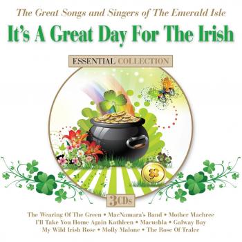 Irish Celebration: The Best Songs and Voices - CD