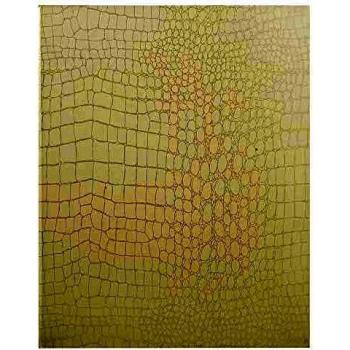 Exacompta Celia - Libro de oro de 100 páginas, 27 x 22cm, color blanco