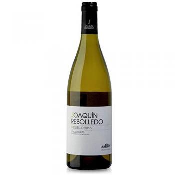 Joaquín Rebolledo Godello