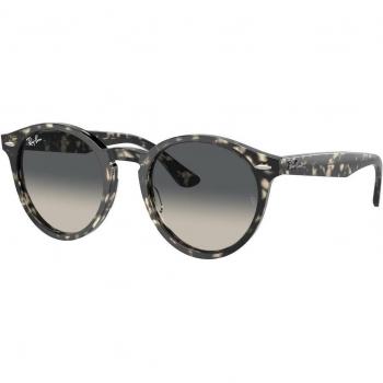 Ray-Ban RB7680S Unisex Panthos Sunglasses, Color 133371, Havana/Grigio, Size 49