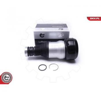 Amortiguador neumático ESEN SKV 58SKV071 con soporte de aire