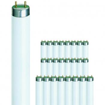 Multipack 25x Philips MASTER TL-D Super 80 58W - 840 Blanco Frío | 150cm