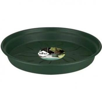 Plato Saucero Verde Básico 25 cm