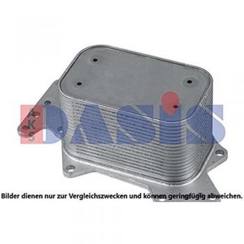 AKS Dasis 046048 N Motor bloques