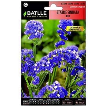 Semillas Statice Sinuata Azul