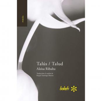 Talús / Talud en Tapa Blanda