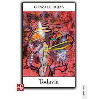 TODAVÍA Obra en prosa