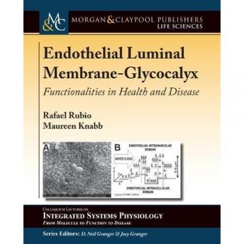 Membrana Luminal Endotelial-Glicocálix: Funcionalidades en Salud y Enfermedad (Serie de Coloquios sobre Fisiología de Sistemas Integrados: de la Molécula a la Función y a la