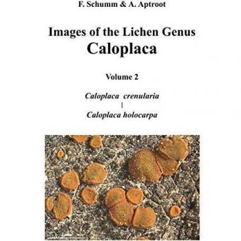 Imágenes del Género de Liquenes Caloplaca, Volumen 2: Caloplaca crenularia y Caloplaca holocarpa (Tapa dura)