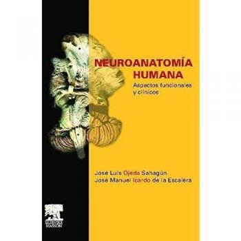 Neuroanatomía Humana