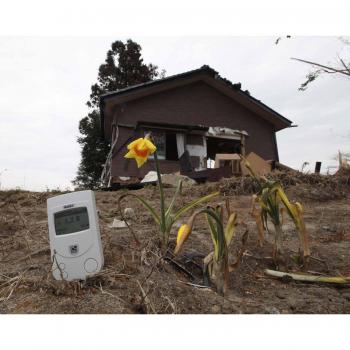 RADEX RD1503 + W/O Dosímetro: alta precisión contador Geiger, detector de radiación