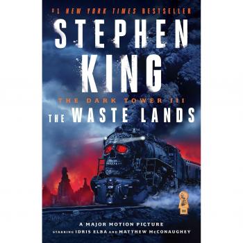 The Dark Tower III: The Waste Landsvolume 3