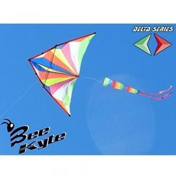 Bee-Kite SideKick - Cometa Monocable Vuelo a vela 200 x 100 cm. con cola estabilizadora - Lista para volar con cable y enrolla-cable
