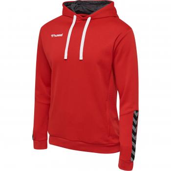 Hummel hmlAUTHENTIC Poly Hooded Sweatshirt